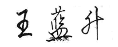 駱恆光王藍升行書個性簽名怎么寫