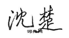 駱恆光沈楚行書個性簽名怎么寫