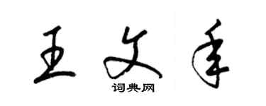 梁錦英王文年草書個性簽名怎么寫