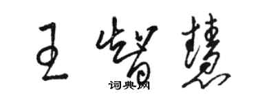 駱恆光王智慧草書個性簽名怎么寫