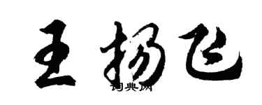 胡問遂王揚飛行書個性簽名怎么寫