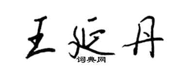 王正良王延丹行書個性簽名怎么寫