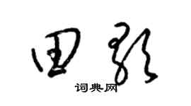 梁錦英田歌草書個性簽名怎么寫