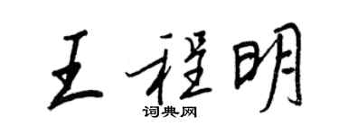 王正良王程明行書個性簽名怎么寫