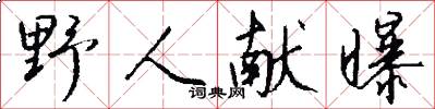 野人獻曝怎么寫好看