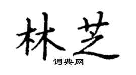 丁謙林芝楷書個性簽名怎么寫