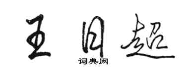 駱恆光王日超行書個性簽名怎么寫