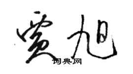 駱恆光賈旭草書個性簽名怎么寫