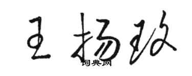 駱恆光王揚玫草書個性簽名怎么寫