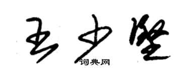 朱錫榮王少堅草書個性簽名怎么寫