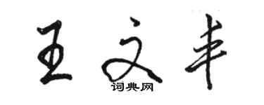 駱恆光王文豐行書個性簽名怎么寫