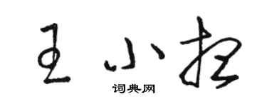 駱恆光王小想草書個性簽名怎么寫