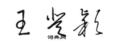 駱恆光王登穎草書個性簽名怎么寫