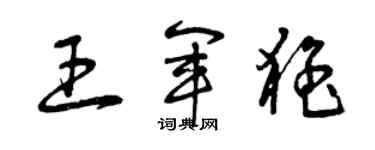 曾慶福王軍猛草書個性簽名怎么寫