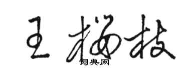 駱恆光王櫻枝草書個性簽名怎么寫