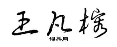 曾慶福王凡榕草書個性簽名怎么寫