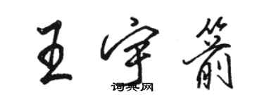 駱恆光王宇箭行書個性簽名怎么寫