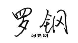 駱恆光羅鋼行書個性簽名怎么寫