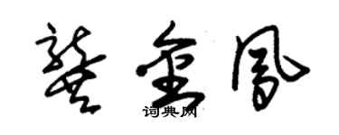 朱錫榮龔金鳳草書個性簽名怎么寫