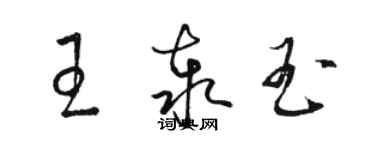 駱恆光王泰玉草書個性簽名怎么寫