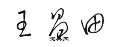 駱恆光王昌田草書個性簽名怎么寫