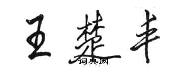 駱恆光王楚豐行書個性簽名怎么寫