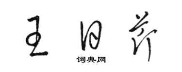 駱恆光王日芹草書個性簽名怎么寫