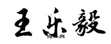 胡問遂王樂毅行書個性簽名怎么寫