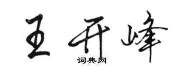 駱恆光王開峰行書個性簽名怎么寫