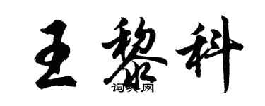 胡問遂王黎科行書個性簽名怎么寫