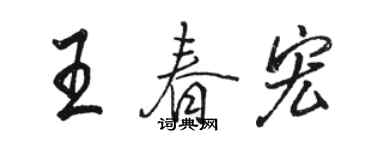 駱恆光王春宏行書個性簽名怎么寫