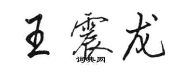 駱恆光王震龍行書個性簽名怎么寫