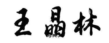 胡問遂王晶林行書個性簽名怎么寫