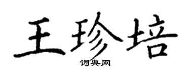 丁謙王珍培楷書個性簽名怎么寫