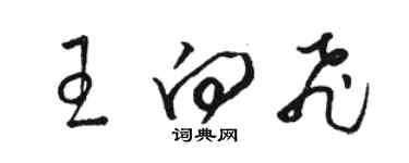 駱恆光王向飛草書個性簽名怎么寫