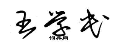 朱錫榮王學民草書個性簽名怎么寫