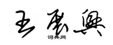 朱錫榮王展興草書個性簽名怎么寫