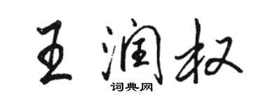 駱恆光王潤權行書個性簽名怎么寫