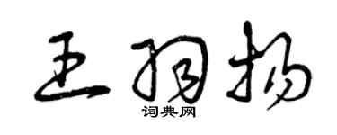 曾慶福王羽揚草書個性簽名怎么寫