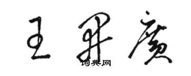 駱恆光王開廣草書個性簽名怎么寫