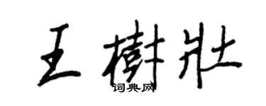王正良王樹壯行書個性簽名怎么寫