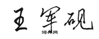 駱恆光王軍硯行書個性簽名怎么寫