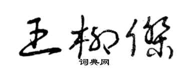 曾慶福王柳傑草書個性簽名怎么寫
