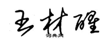 朱錫榮王材醒草書個性簽名怎么寫