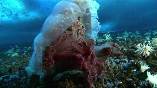 1983年太原老照片