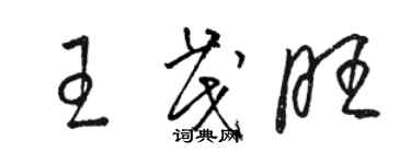 駱恆光王茂旺草書個性簽名怎么寫