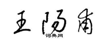 梁錦英王陽甫草書個性簽名怎么寫