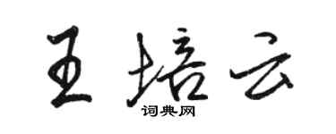 駱恆光王培雲行書個性簽名怎么寫