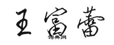 駱恆光王富蕾行書個性簽名怎么寫