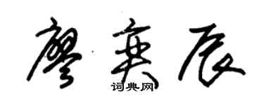 朱錫榮廖奕辰草書個性簽名怎么寫